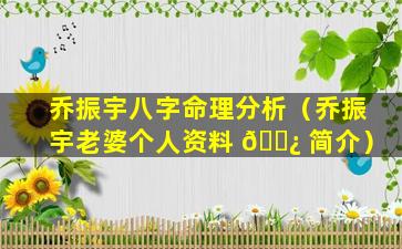 乔振宇八字命理分析（乔振宇老婆个人资料 🌿 简介）